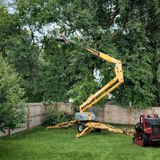 Best Emergency Tree Removal  in Baldn, WI